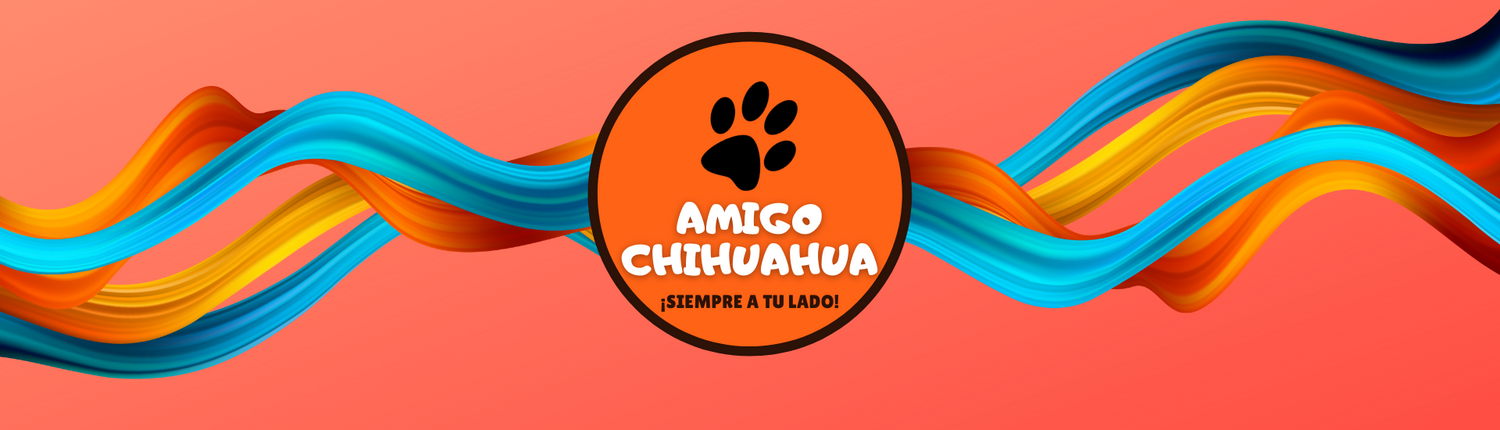 Amigo Chihuahua